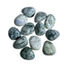 Kindred Crystal Collective — Tree Agate Tumbled 2.5–3cm, eleven polished opaque white and pale grey chalcedony stones with deep forest green dendritic branching patterns on white background