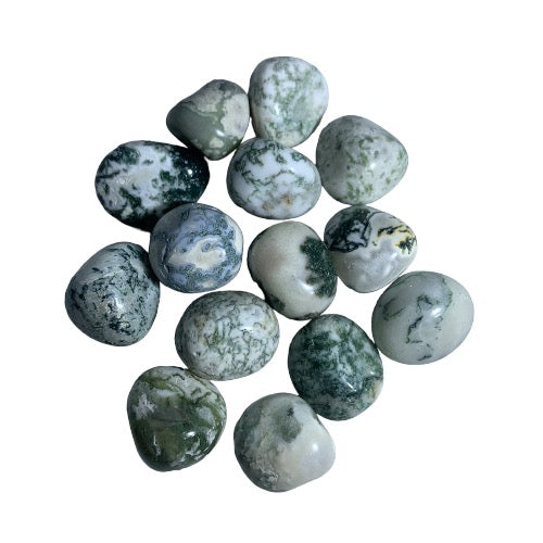 Kindred Crystal Collective — Tree Agate Tumbled 2.5–3cm, thirteen polished opaque white and pale grey chalcedony stones with deep forest green dendritic branching patterns on white background
