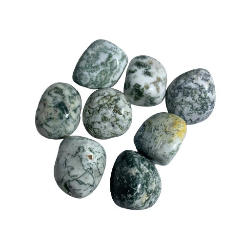 Kindred Crystal Collective — Tree Agate Tumbled 3–3.5cm, seven polished opaque white and pale grey chalcedony stones with deep forest green dendritic branching patterns on white background